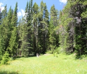 MontanaBackpacking2013 160